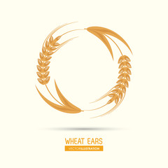 Wheat ears design, farm and agriculture concept, ve