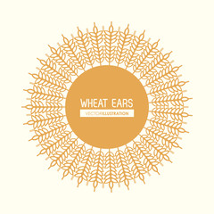 Wheat ears design, farm and agriculture concept, ve