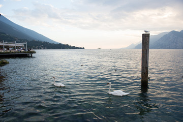 Lake of Garda - Malcesine
