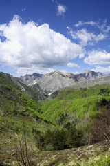 Fototapeta na wymiar View of Apuan Alps. A sunny day in Tuscan, Italy.