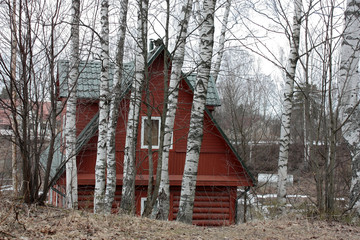wooden house in ravine among birches spring