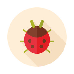 Ladybug flat vector icon