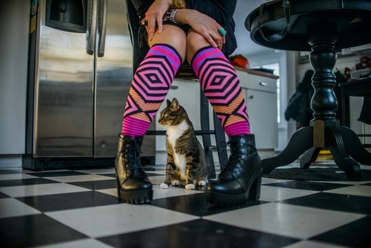 Young woman sitting on kitchen stool, cat sitting underneath stool, low section