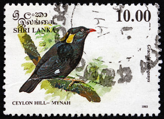 Postage stamp Sri Lanka 1993 Sri Lanka Hill Myna