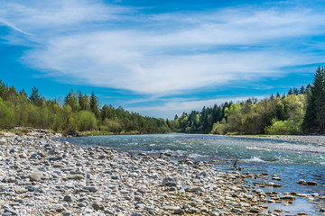 Isar plätschert umgeben von Kies und Auen