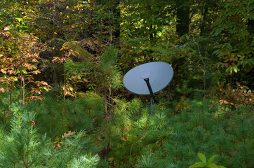 Satellitenantenne mitten im Wald