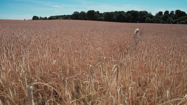 Girl in rye field