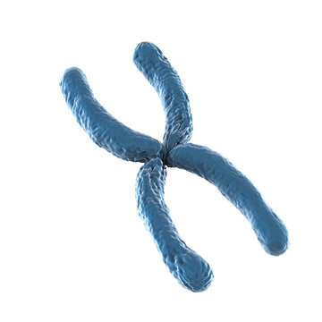 blue chromosome on white background