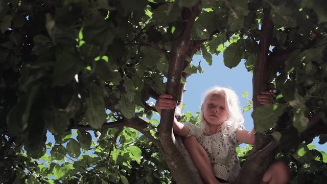 Girl on tree