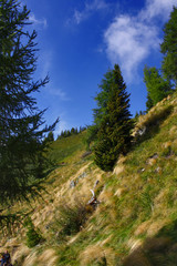 DOLOMITI DEL BRENTA IN TRENTINO