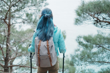 Hiker in the pine forest