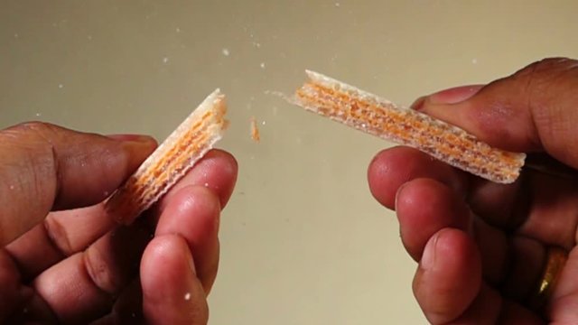 Hand holds wafer of cheese and breaks it. Slow motion