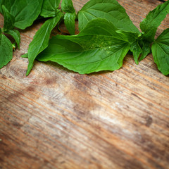 Green leaves on wooden background