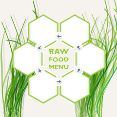 Abstract hexagons for your text and raw food menu headline