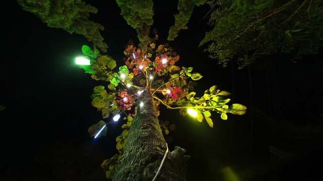 Tree ride timelapse in Pai Town