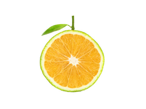 Orange Slice on white background