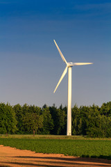 Fototapeta premium saubere Energie durch Windkraft, erneuerbare Energie