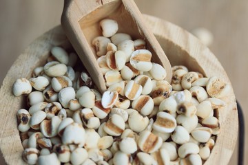 organic millet rice seed