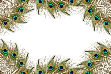 Keuken spatwand met foto Beautiful peacock feathers as background with text copy space © gv image