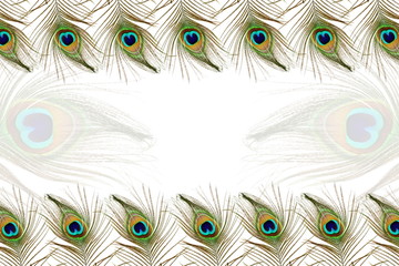 Obraz premium Beautiful peacock feathers as background with text copy space