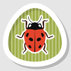 Ladybug colorful icon