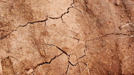 Земля в трещинах