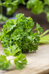Some fresh Parsley (close-up shot)