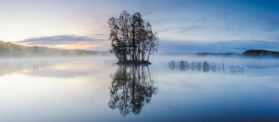 Island with trees on lake, dusk