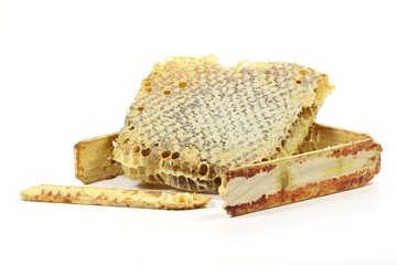 comb honey isolated on white background