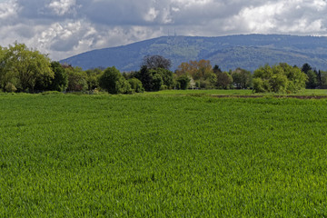 Obraz premium landscape with meadow and hills
