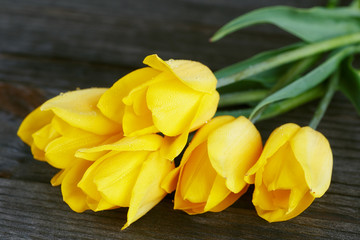 Yellow tulips on dark wooden background