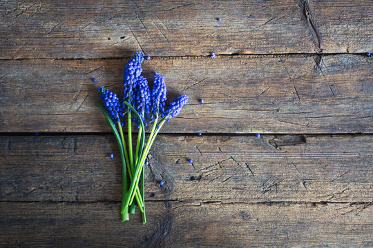 Blue spring flowers on a wooden background