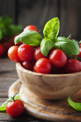 Fototapeta na wymiar Concept of vegetarian food with basil and tomato