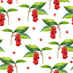 watercolor magnolia vine Botanical pattern