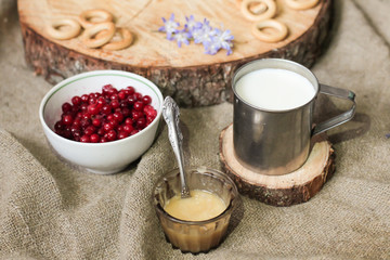Obraz na płótnie Canvas milk, honey and cranberries - cold medicine
