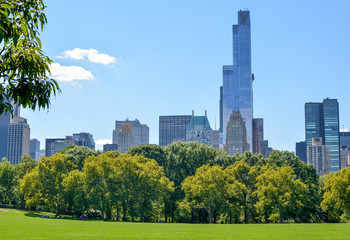 view from the Central Park lawn