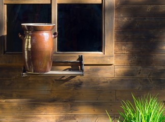 window with a pot of grass