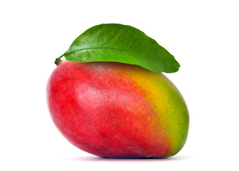Mango isolated on white