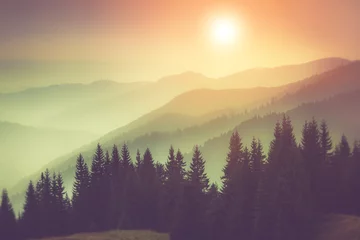 Poster Landschaft von nebligen Berghügeln und Wald. Fantastischer Abend, der durch Sonnenlicht glüht. © vovik_mar