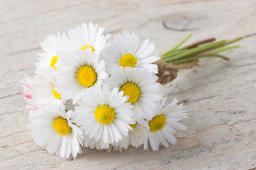 Bouquet of daisies on white wooden background