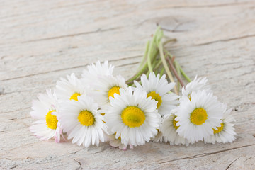Fototapeta premium Bouquet of daisies on white wooden background