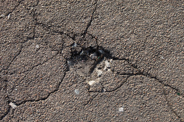 Cracked asphalt surface with a small pit