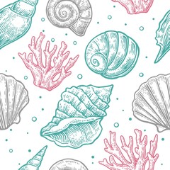 Seamless pattern sea shell.  Vector engraving vintage illustrations. Isolated on  white background