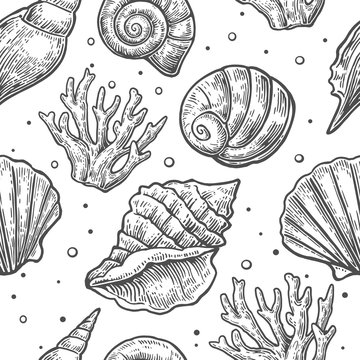 Seamless pattern sea shell.  Vector engraving vintage illustrations. Isolated on  white background