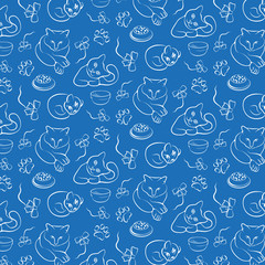 Cats and cute kittens playing and eating.