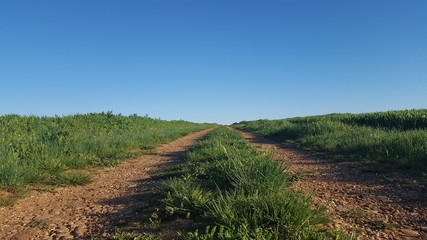 Camino de tierra