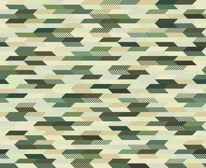 Polygonal Camo   © skunkeye