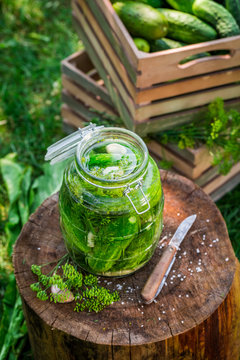 Preserving freshly pickled cucumbers after the harvest