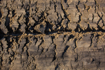 The soil surface