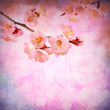Spring flowers background_1